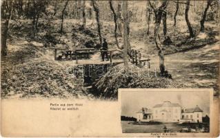 Kisbáb, Kis-Baáb, Maly Báb (Báb); Partie aus dem Wald, Kastell / Részlet az erdőből, Kastély. Kanitz C. és FIai / forest, castle (r)