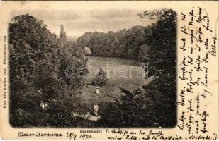 1903 Modor-Harmónia, Modra; Erdő részlet. Blau Béla kiadása / forest (EK)