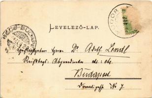 1903 Modor-Harmónia, Modra; Erdő részlet. Blau Béla kiadása / forest (EK)