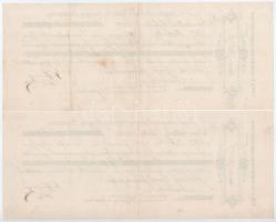 Szombathely 1880. "Első magyar általános biztosító társaság Budapesten" 3db kitöltött vált...