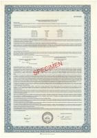 Budapest 1991. "McDonald's Magyarországi Étterem Hálózat Kft." kitöltetlen, névre szó...