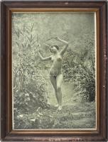 Régi női aktfotó reprintje, kissé kopott, üvegezett fa keretben, külső méret: 26x20 cm