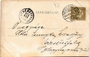 1904 Ráckeve, Árpád híd + "RÁCZKEVE - BUDAPEST 184. SZ." vasúti mozgóposta bélyegző (fl)