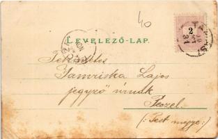 1899 Tamási, Tolna-Tamási; Miklósvár, Vadaskert, Takarékpénztár. Kiadja Jeruzsálem Ede 1999. Art Nou...