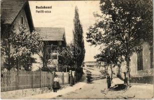 1915 Budakeszi, Petőfi utca. Schneider Ferenc kiadása (r)