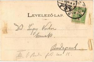 1903 Arad, Vértanú szobor, Löwy Herman, Krausz Lajos üzlete. Kerpel Izsó kiadása / monument, shops (...