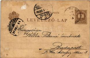 1899 (Vorläufer) Budapest XIV. Városliget, Ezredéves Országos Kiállítás, főbejáratok, litho barna 2 ...