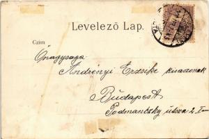 1900 Budapest I. Látkép a Királyi palotától és Lánchíd. Ganz Antal 322. litho (EB)