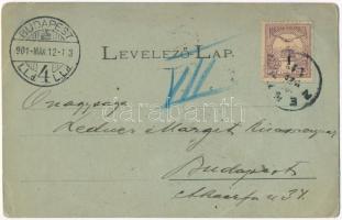 1901 Zenta, Senta; vasútállomás, vonat, gőzmozdony, vasutasok. Straub Ödön kiadása / railway station...