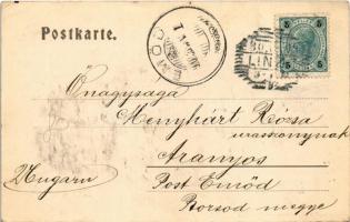 1900 Linz, Landungsplatz / port