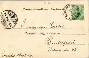 1905 Bosnian militant praying + "K.und K. MILIT. POST BILEK"