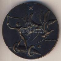 1937. "Dr. Radnai Béla negyedszázados rendszeralkotói jubileuma" nagyalakú Br emlékérem. S...