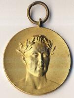 Német Birodalom/Weimari Köztársaság 1930. "Nemzeti Tízpróba" aranyozott Br díjérem T:2