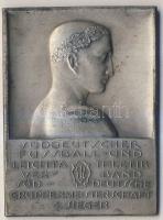 Német 3. Birodalom 1933. "Délnémet Futball és Könnyűatlétikai Szövetség-bajnokság" szögletes ffém plakett T:2/3