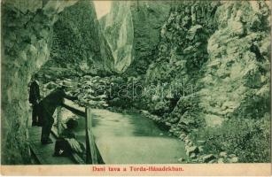 1908 Tordai-hasadék, Cheile Turzii, Torda, Turda; Dani tava (Danila-tó) a Torda-hasadékban. Borza Zsigmond kiadása / lake in the gorge, mountain pass (fl)