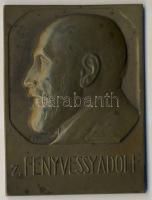 1910. "Fenyvessy Adolf" nagyalakú, szögletes Br plakett T:2-