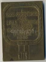 1910. "Fenyvessy Adolf" nagyalakú, szögletes Br plakett T:2-