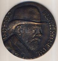 DN "Szinyei Merse Pál-100 éves Szinyei Gimnázium" nagyalakú Br plakett T:2