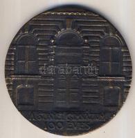 DN "Szinyei Merse Pál-100 éves Szinyei Gimnázium" nagyalakú Br plakett T:2