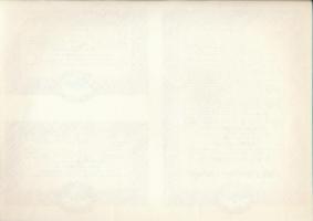 Budapest 1993. "Magyar Államkötvény" "MINTA" 1000db 1995/D államkötvény egyben, ...