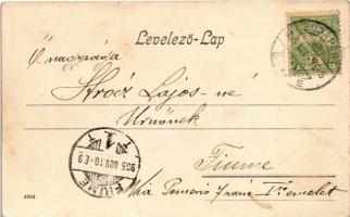 1905 Budapest I. Látkép a Gellérthegy nyugati oldaláról, Királyi vár, Tabán, Döbrentei tér, piac, Ge...