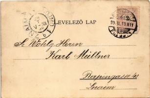 1899 (Vorläufer) Budapest I. Királyi várpalota, Tabán és Krisztinaváros. Károlyi György 13. (kis sza...