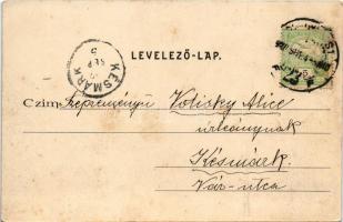 1907 Budapest I. Kilátás a Halászbástyáról. Divald Károly 201. sz. (ázott / wet damage)