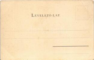 1900 Budapest I. Királyi lak és várbazár, uszályok. Schmidt Edgar (kopott sarkak / worn corners)