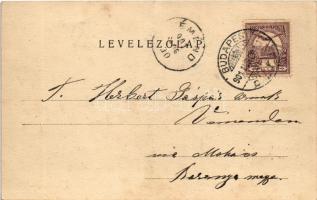 1901 Budapest I. Budai részlet, Királyi vár, gőzhajó. Divald Károly 14. sz. (r)