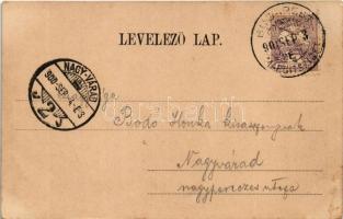 1900 Budapet XI. Gellérthegy, Citadella, "HATTYÚ" gőzhajó. Klein V. kiadása (kopott sarkak...