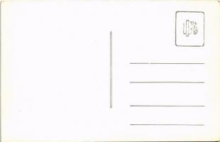 Marosfő, Izvoru Muresului; üdülőtelep / holiday resort. photo (EK)