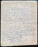 1944 Novemberi levél egy fronton levő katonának, melyben apja leírja a fegyverszüneti kezdeményezést...