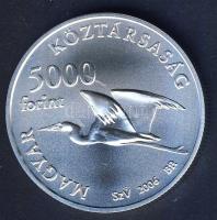 2006. 5000Ft Ag "Fertő kultúrtáj" T:BU Csak 5000 db! Tanúsítvánnyal!