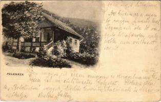 1904 Lillafüred (Miskolc), Peleház, Herman Ottó villa, nyaraló (Rb)