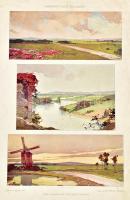 1893-1896 Dekorative Vorbilder. 4 db aranyozott, illusztrált egészvászon mappája. Össz. 12 db dekora...