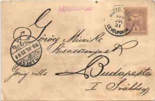 1900 Szigetvár, Várrom, Zrínyi halála és szobra, Biedermann utca. Corvin könyvnyomda, floral litho (...