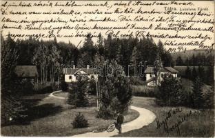 1912 Lucsivna, Lautschburg, Lucivná (Magas-Tátra, Vysoké Tatry); kerékpár, nyaralók. Feitzinger Ede No. 339. / bicycle, villas