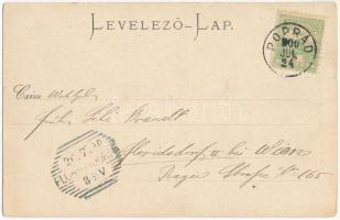 1900 Tátra, Magas Tátra, Vysoké Tatry; Csorbai állomás, fogaskerekű vasút, vonat / cogwheel railway ...