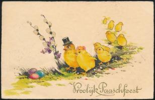 Hollandia 1934
