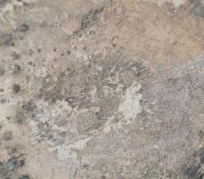 Ezüst (Ag) kanna, 13 latos antik fémjellel, fa füllel, horpadásokkal, sérült, bruttó: 262g, m:15cm