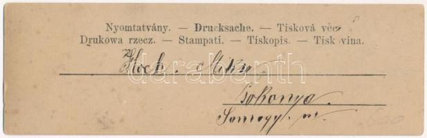 Tomcsányi Russi (4 cm x 14 cm) (fa)