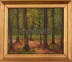 Jelzés nélkül: Erdő. Olaj, karton. Dekoratív, kissé kopott fa keretben. 29,5x37 cm