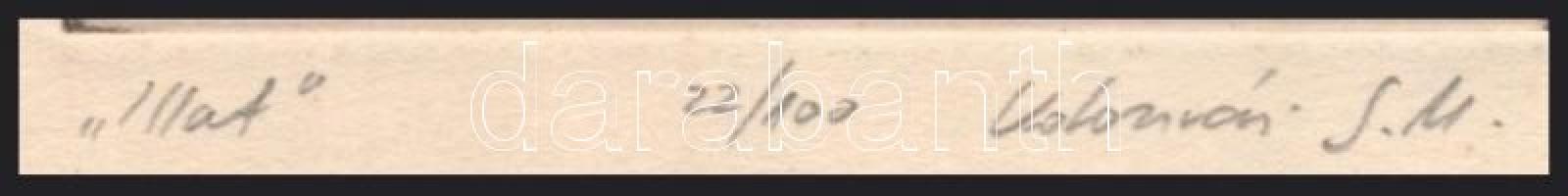 Kolozsvári Grandpierre Miklós (1950- ): Illat. Rézkarc, papír. Jelzett, számozott (22/100), a lap sz...