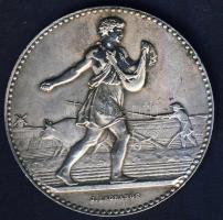Franciaország Dn (1904) "Le Semeur" Ag 36,7g díjérem (Francia Mezőgazdasági Minisztérium) ...
