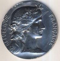 Franciaország 1925. "Marianne-Touring" Ag 66,5g szign. Daniel Pupnis T:2 ph,k