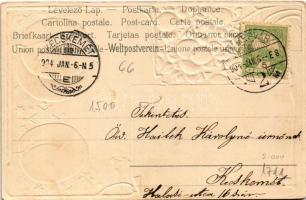 1904 Art Nouveau Emb. litho greeting card with plums (lyuk / pinhole)