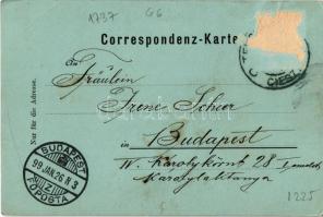 1899 (Vorläufer) Cieszyn, Teschen; Erzherzog Albrechts-Allee / street view (Rb)