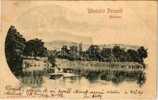 1900 Pécs, Balokányi tó. Schönwald Imre kiadása (fl)