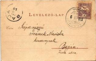 1900 Pécs, Balokányi tó. Schönwald Imre kiadása (fl)