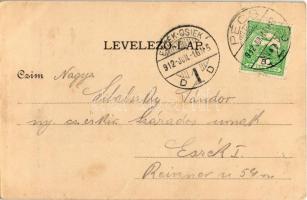 1912 Pécs, Zsolnay Mauzóleum. Fürst Lipót kiadása (lyuk / hole)